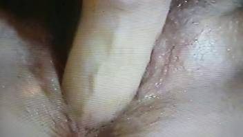 Amature wife fucked with dildo